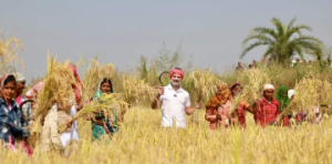 Rahul Gandhi Paddy: दो दिन के चुनावी दौरे पर छत्तीसगढ़ आए कांग्रेस के पूर्व अध्यक्ष राहुल गांधी धान के खेतों में पहुंच गए. वहां उन्होंने न सिर्फ धान काटा, बल्कि छत्तीसगढ़िया अंदाज में धान के खेत में जाने से पहले गमछा सिर में बांधा, जिसमें किसानों ने उनकी मदद की.