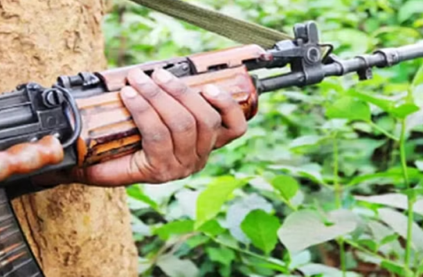 Bijapur Naxalite Encounter